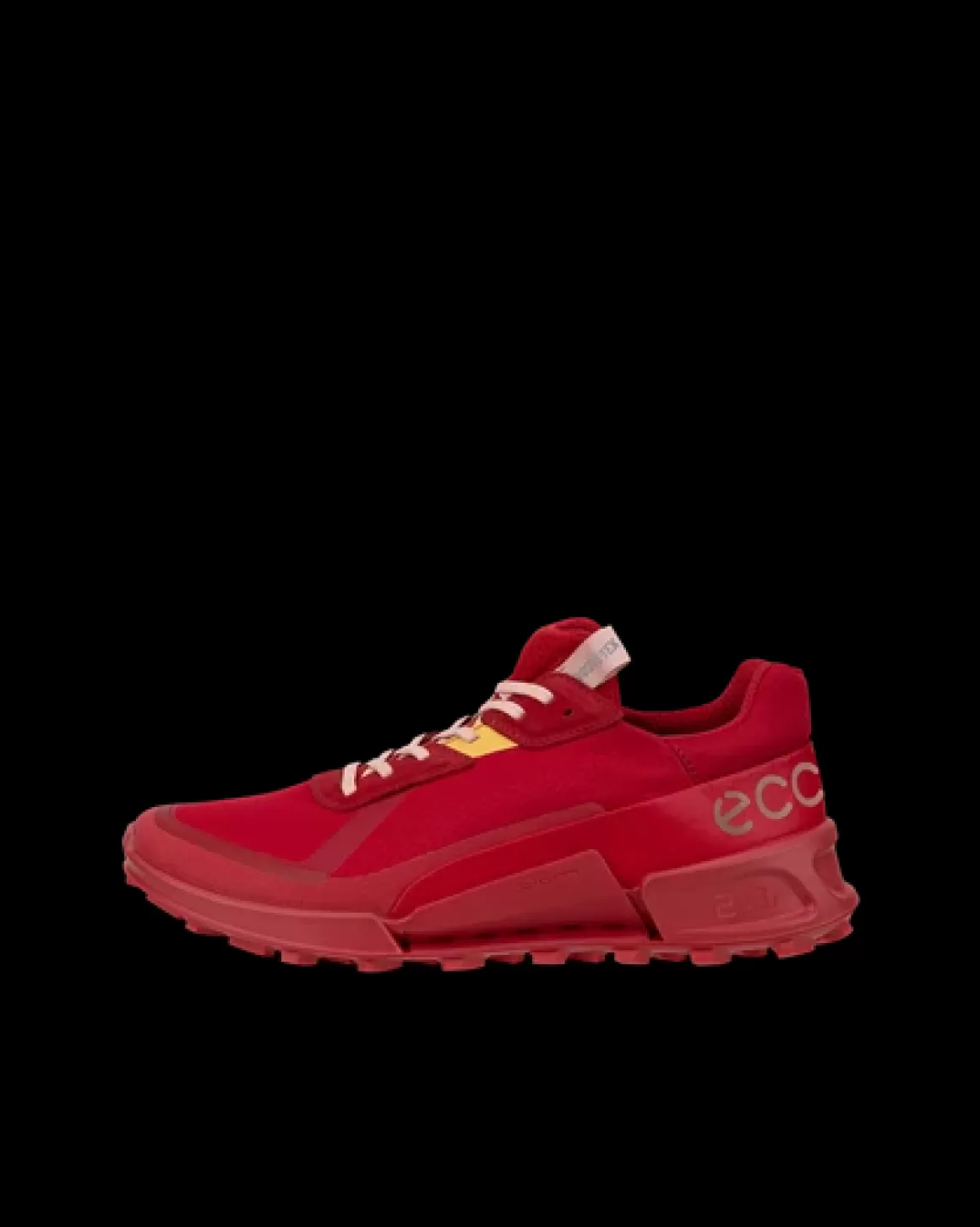 Dame ECCO BIOM 2.1 X COUNTRY W