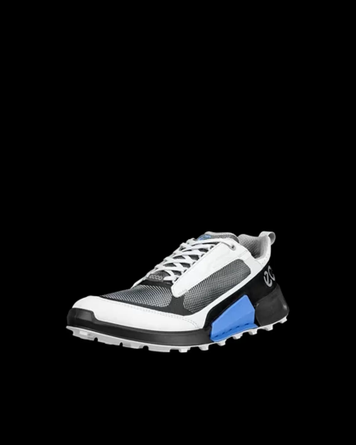 ECCO BIOM 2.1 X MOUNTAIN M