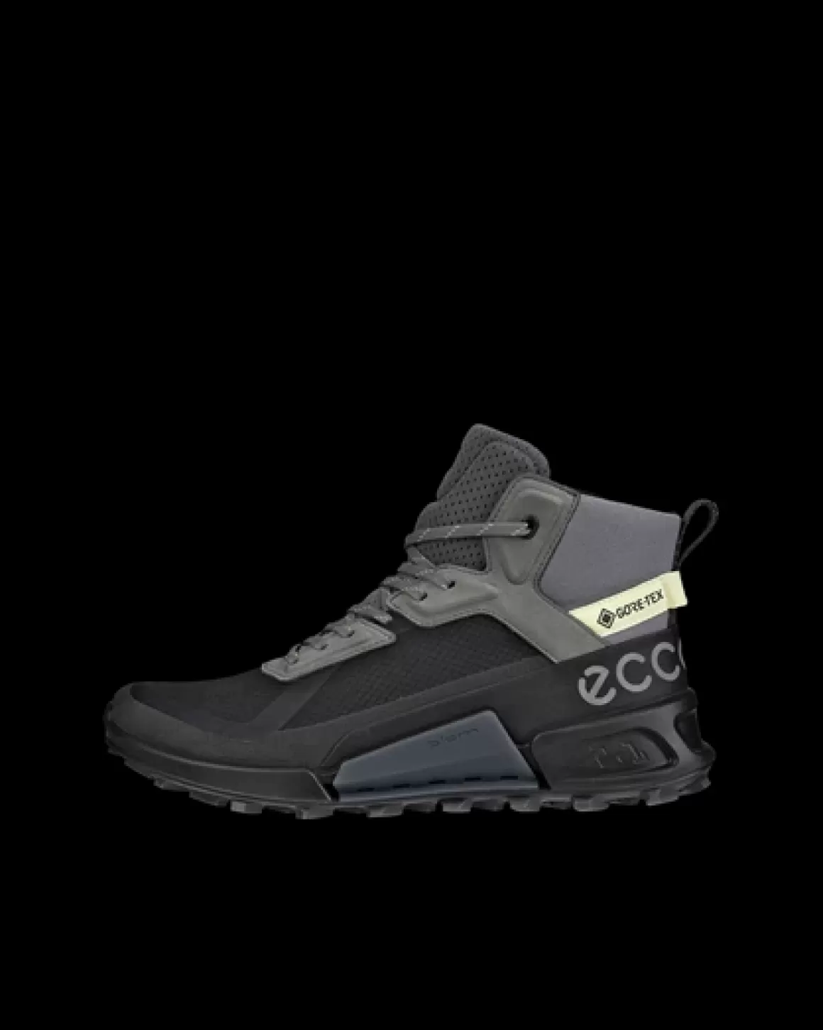 Dame ECCO BIOM 2.1 X MOUNTAIN W