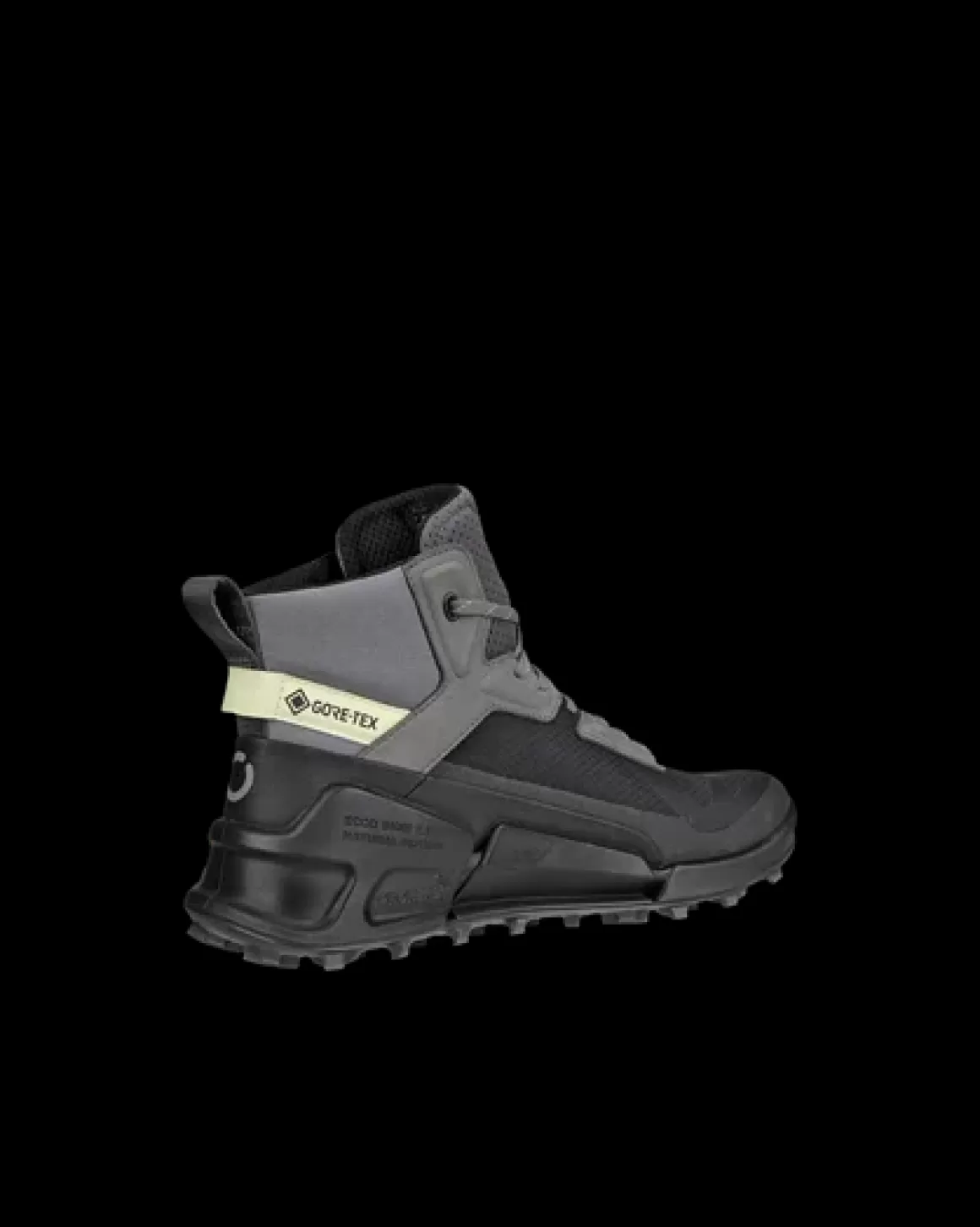 Dame ECCO BIOM 2.1 X MOUNTAIN W