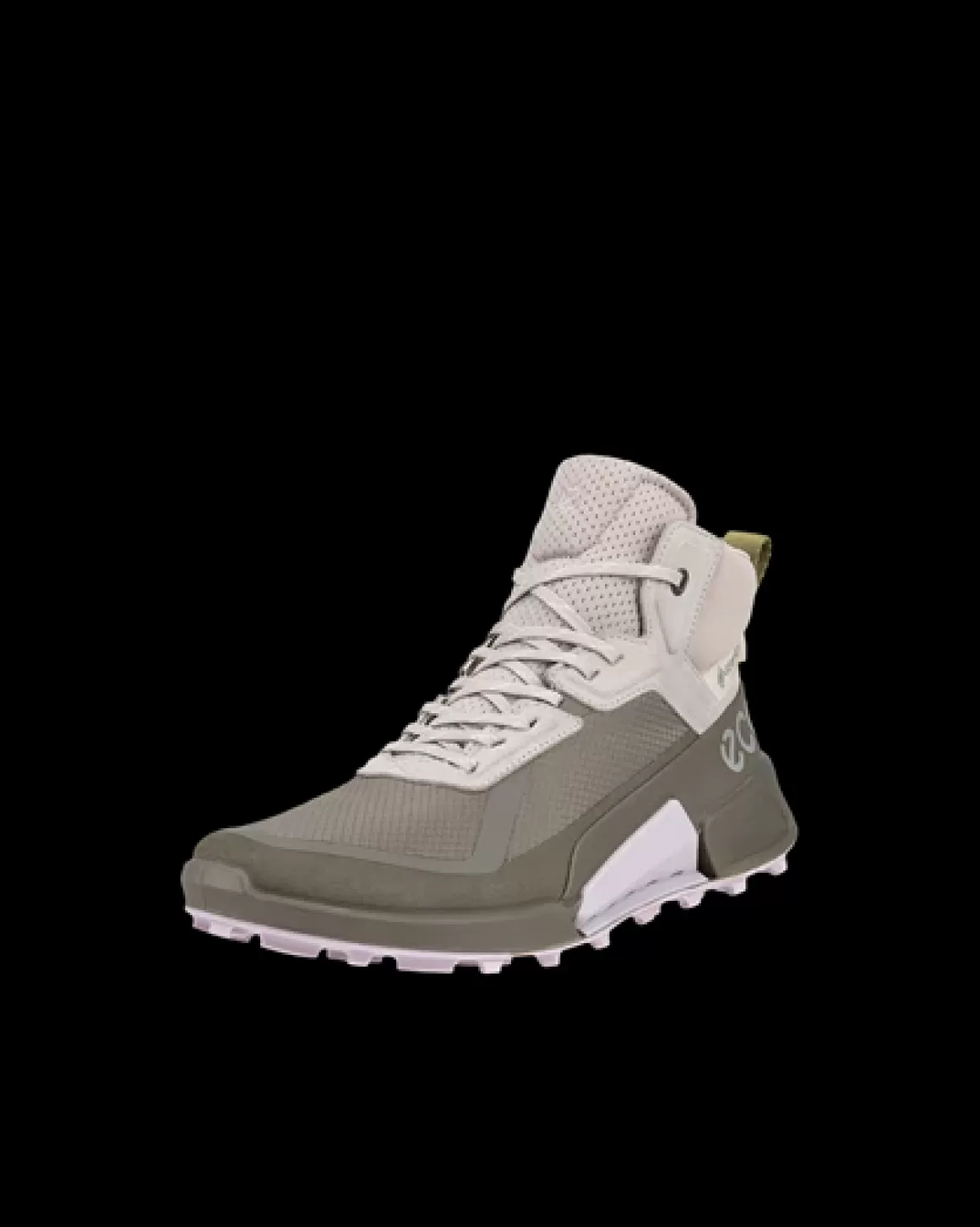 Dame ECCO BIOM 2.1 X MOUNTAIN W