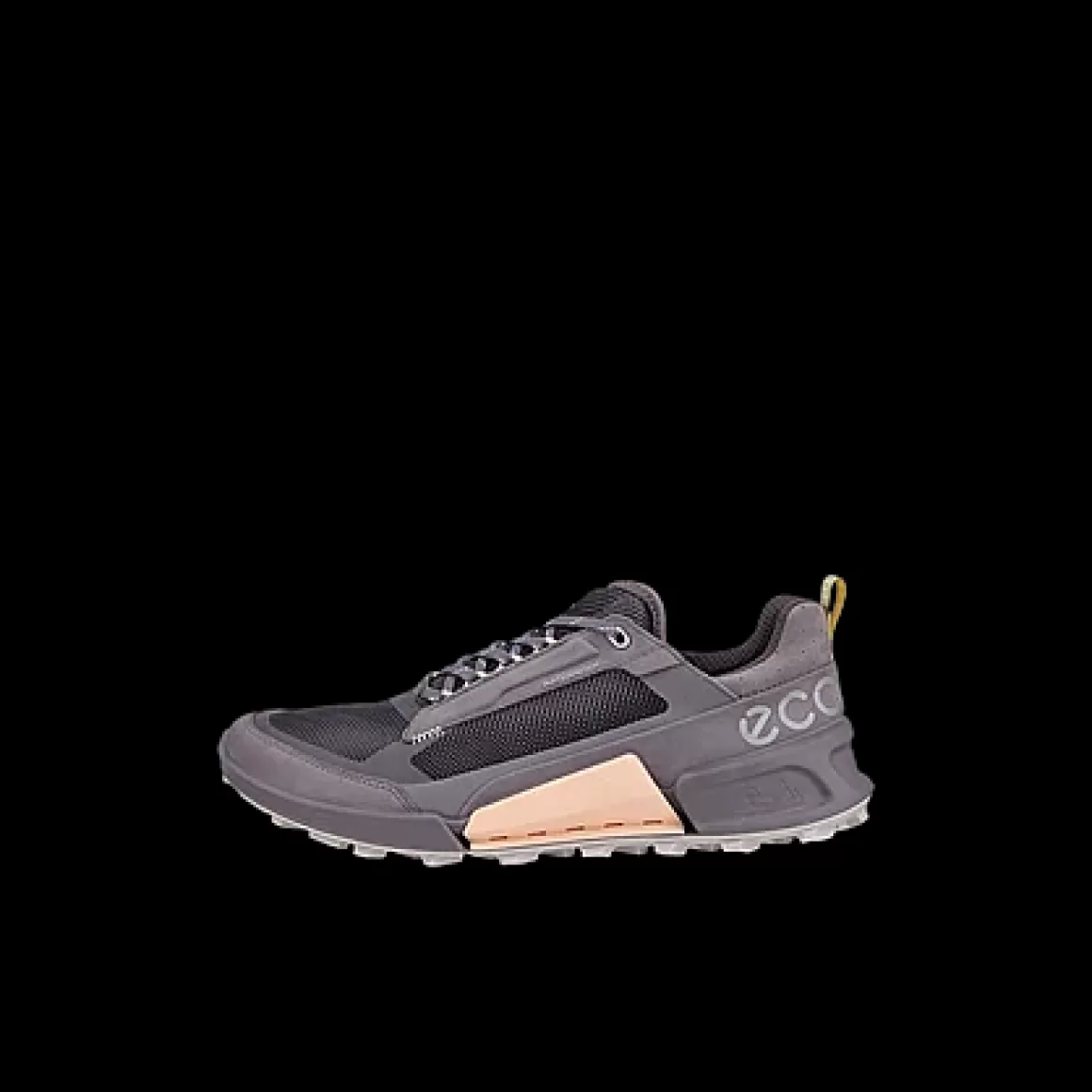 Dame ECCO BIOM 2.1 X MOUNTAIN W
