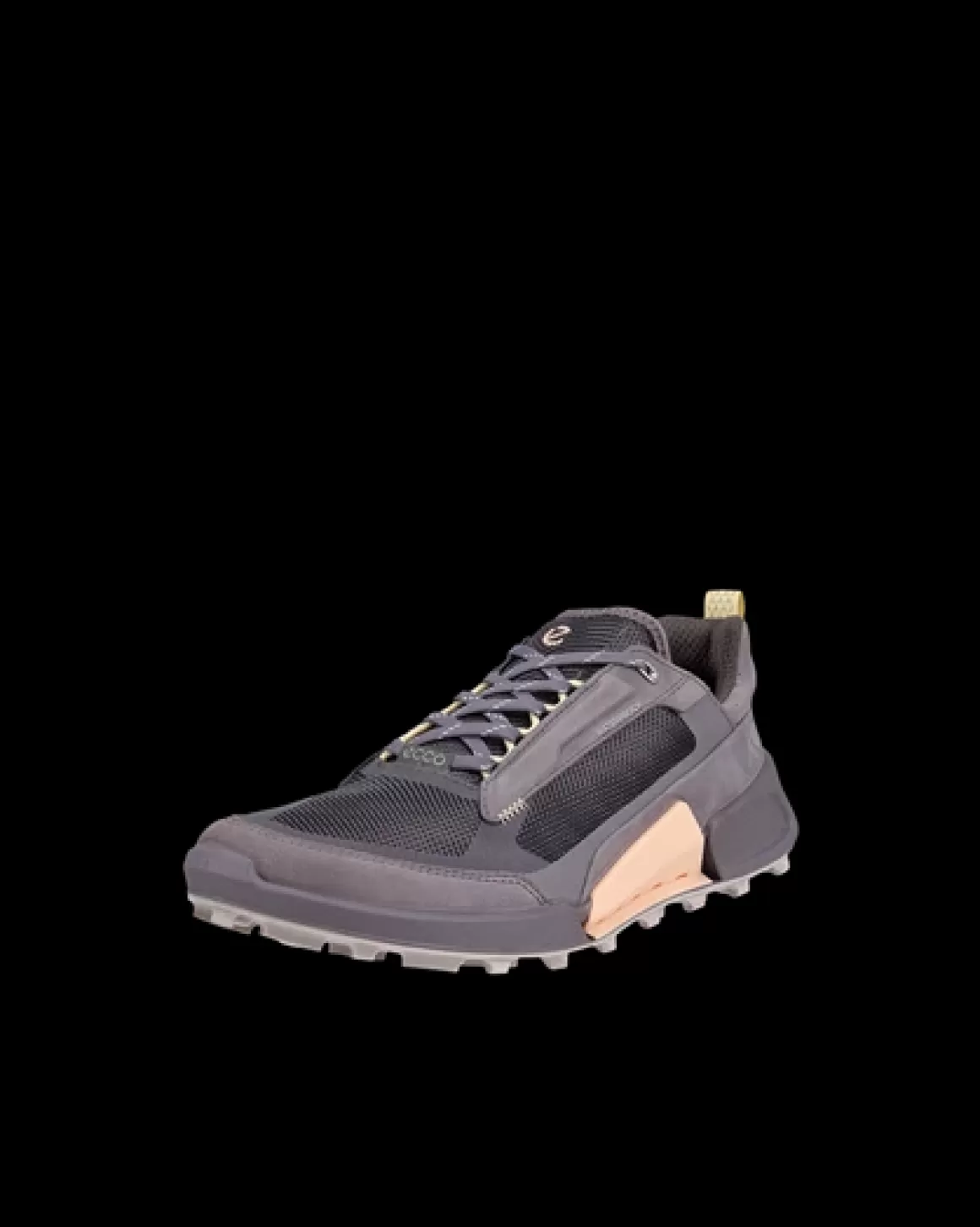 Dame ECCO BIOM 2.1 X MOUNTAIN W